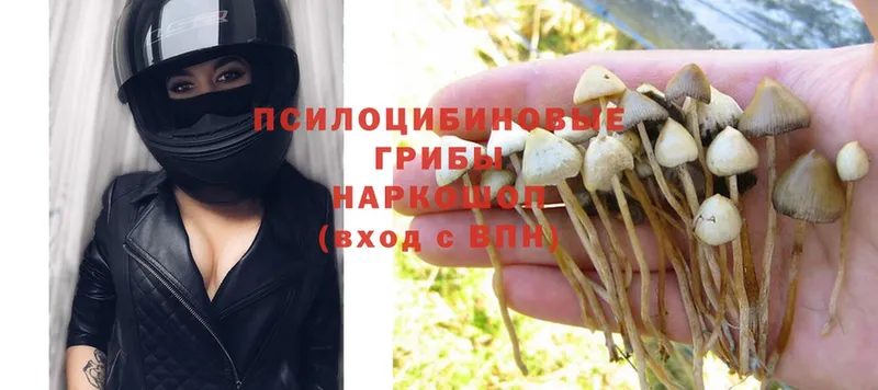 Псилоцибиновые грибы Magic Shrooms  Кущёвская 